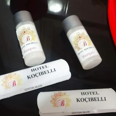 Kocibelli Pool & קורצ'ה