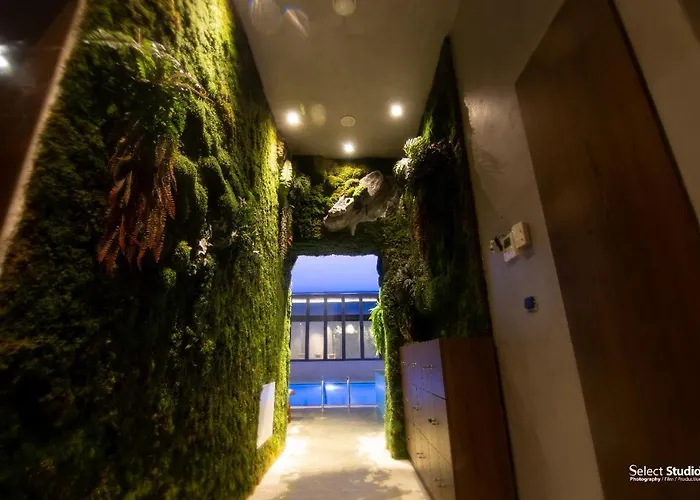 Hotel Kocibelli Pool &